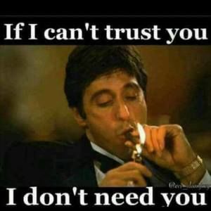 Meet your Posher, Shane